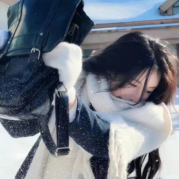 后宫之乌